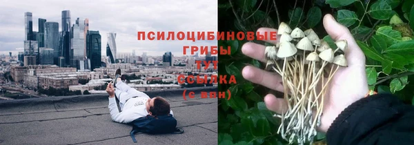молекула духа Нея