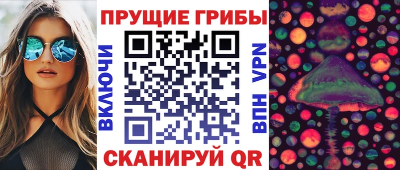 Псилоцибиновые грибы Magic Shrooms  закладки  Чусовой 