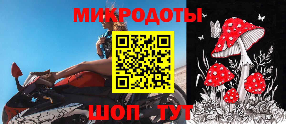 Галлюциногенные грибы Psilocybe  Вход с VPN  Чусовой 