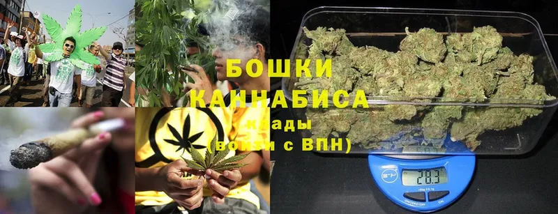 где купить наркоту  Чусовой  МАРИХУАНА White Widow 